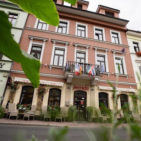 Avenida Park Hotel Теплице Экстерьер фото